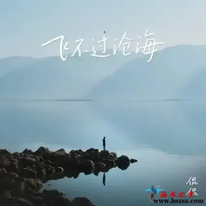 飞不过沧海.webp