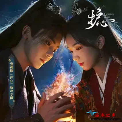 护心 电视剧原声带.webp