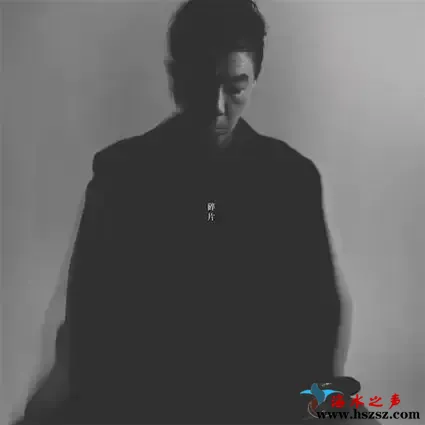 碎片.webp