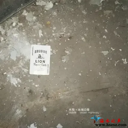 丝绒公路.webp
