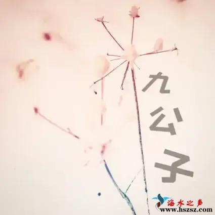 九公子.webp