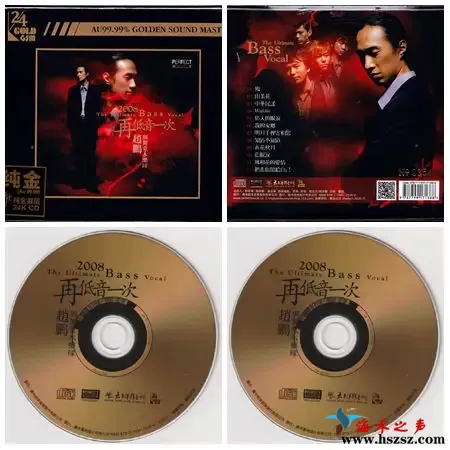 2008再低音一次.webp