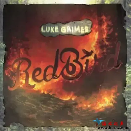 Red Bird.webp