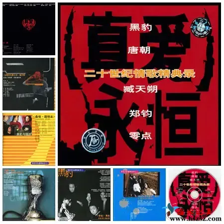 真爱永恒.webp