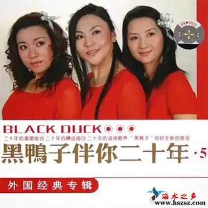 伴你二十年5 – 外国经典专辑.webp