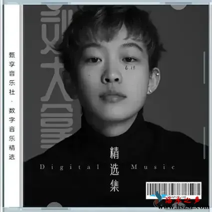 数字音乐精选.webp