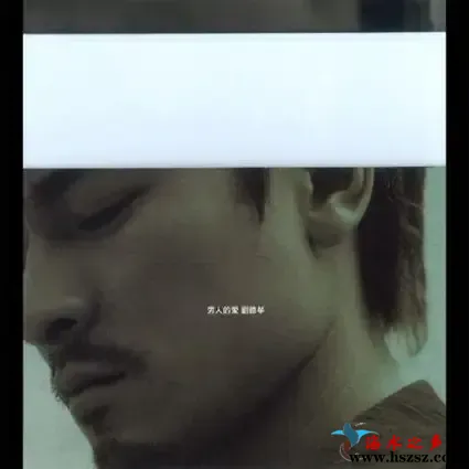 男人的爱.webp
