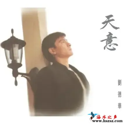 天意.webp