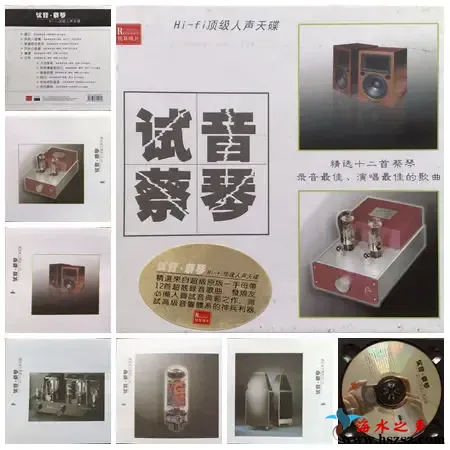 试音蔡琴.webp