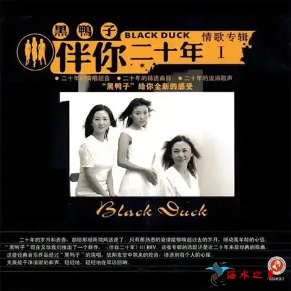 伴你二十年-情歌专辑1.webp