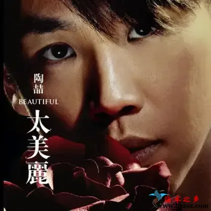 太美丽.webp