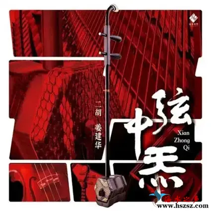 弦中炁.webp