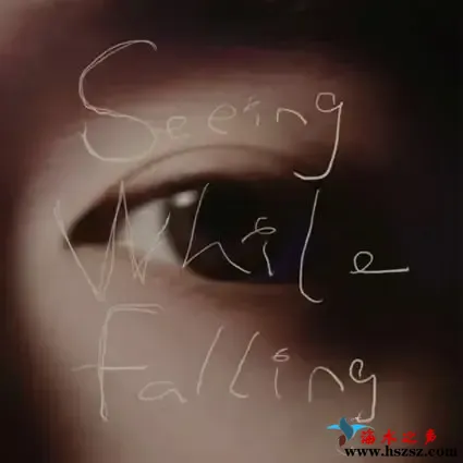 坠落前的窥视.webp