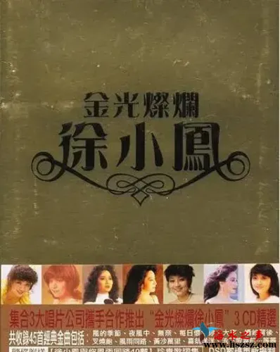 金光灿烂徐小凤.webp