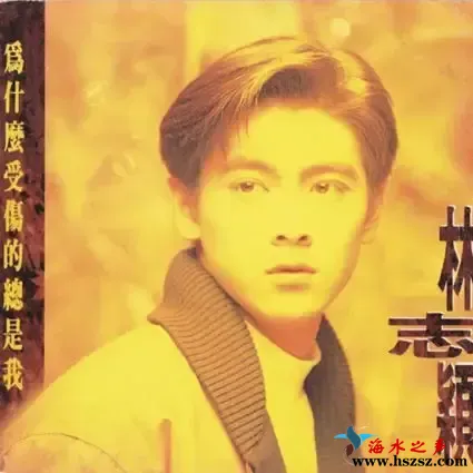 为什么受伤的总是我.webp
