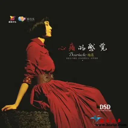 心痛的感觉杨泉.webp