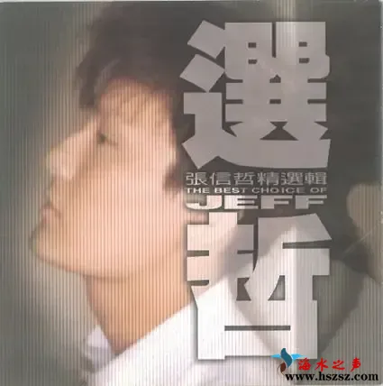 选哲.webp