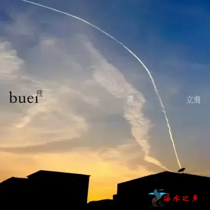 飞buei.webp