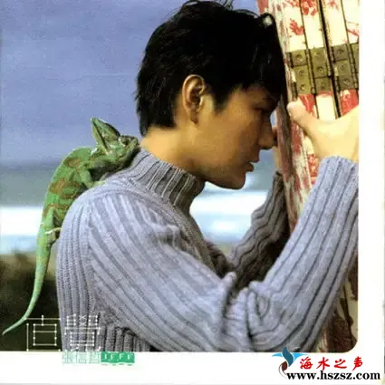 直觉.webp