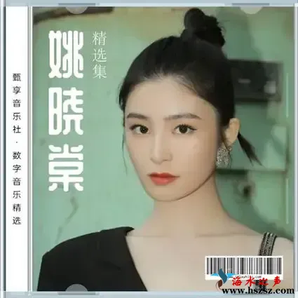 数字音乐精选.webp