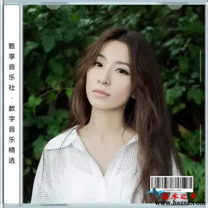 数字音乐精选集.webp