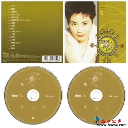 王菲真经典.webp