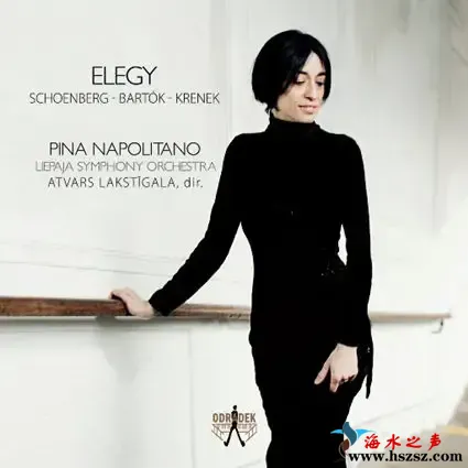 挽歌 (Elegy).webp