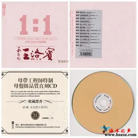 永远的王洛宾.webp