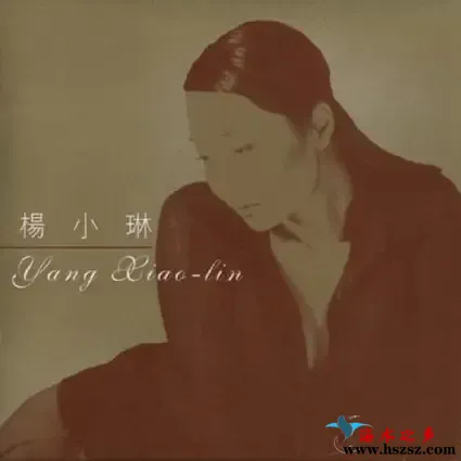 金装杨小琳.webp