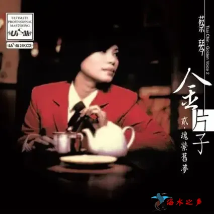 金片子-贰 魂萦旧梦.webp