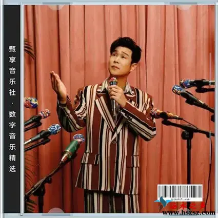 小沈阳数字音乐精选集.webp