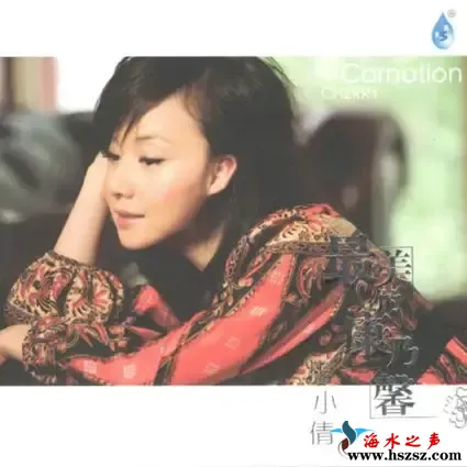 最美的康乃馨.webp
