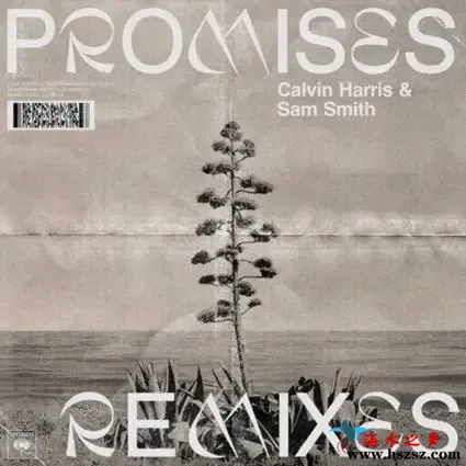 Promises (Remixes).webp