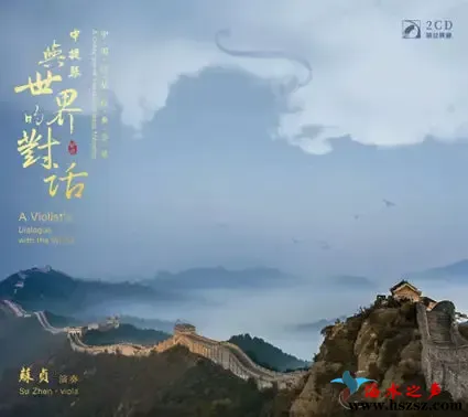 中提琴与世界的对话.webp