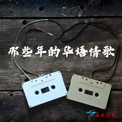 那些年的华语情歌.webp