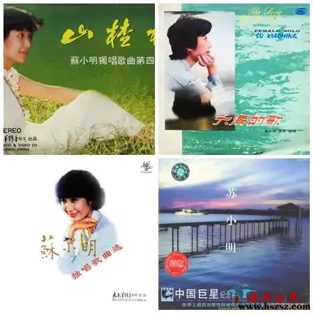 苏小明.webp