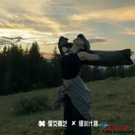 摇摆的旋律.webp