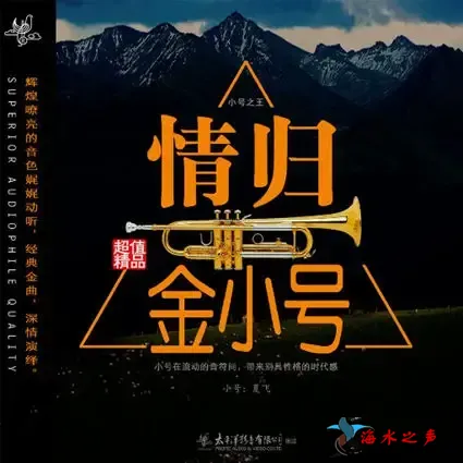 情归金小号.webp