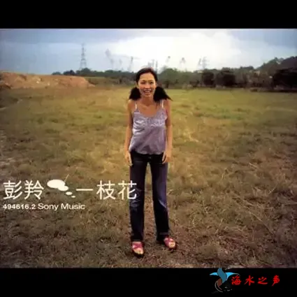 一枝花.webp