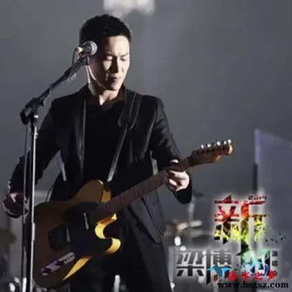 2014“新的”演唱会.webp