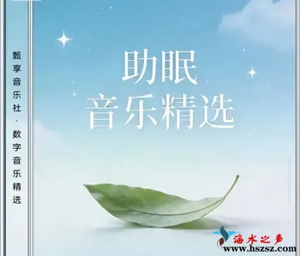 助眠音乐精选集.webp