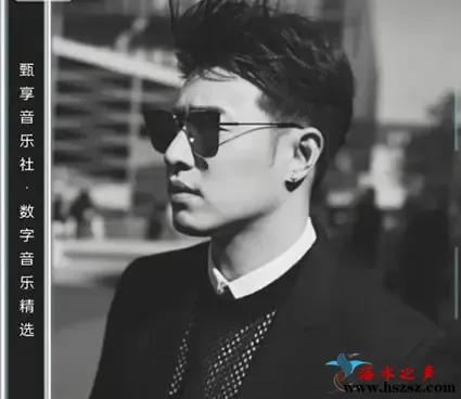 数字音乐精选集.webp