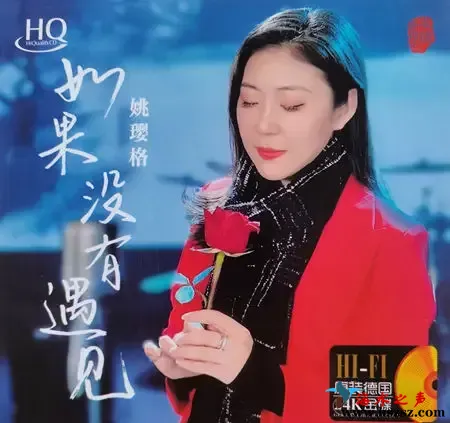 如果没有遇见.webp
