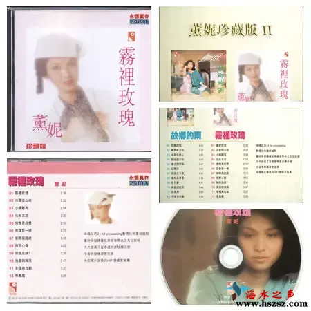 雾里玫瑰.webp