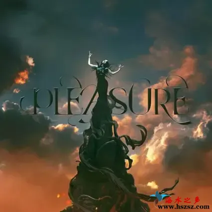 PLEASURE.webp