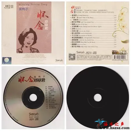 怀念邓丽君.webp