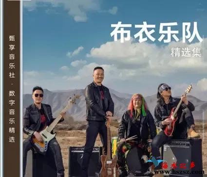 数字音乐精选集.webp