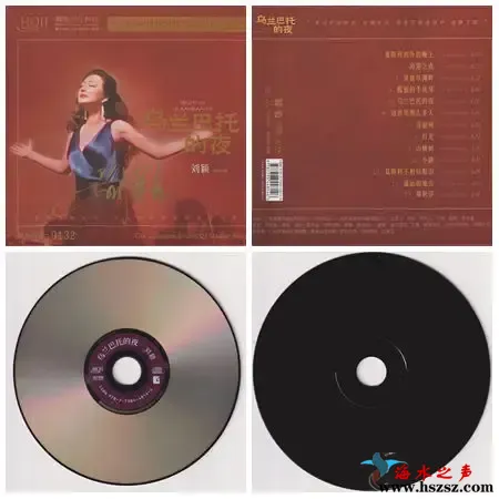 乌兰巴托的夜.webp