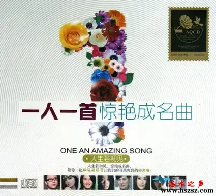 《一人一首惊艳成名曲 》.webp